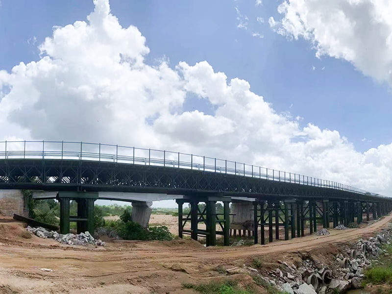 Customized Steel Bridge